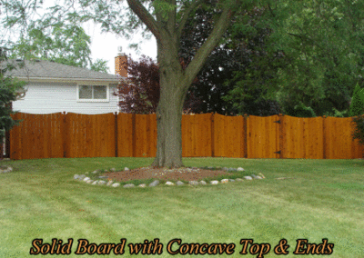 Solid-Board-Fence-09232010
